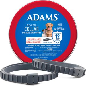 Flea  Tick Collar for Dogs  Puppies