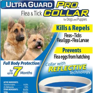 Flea Tick Collar for Dogs and Puppies