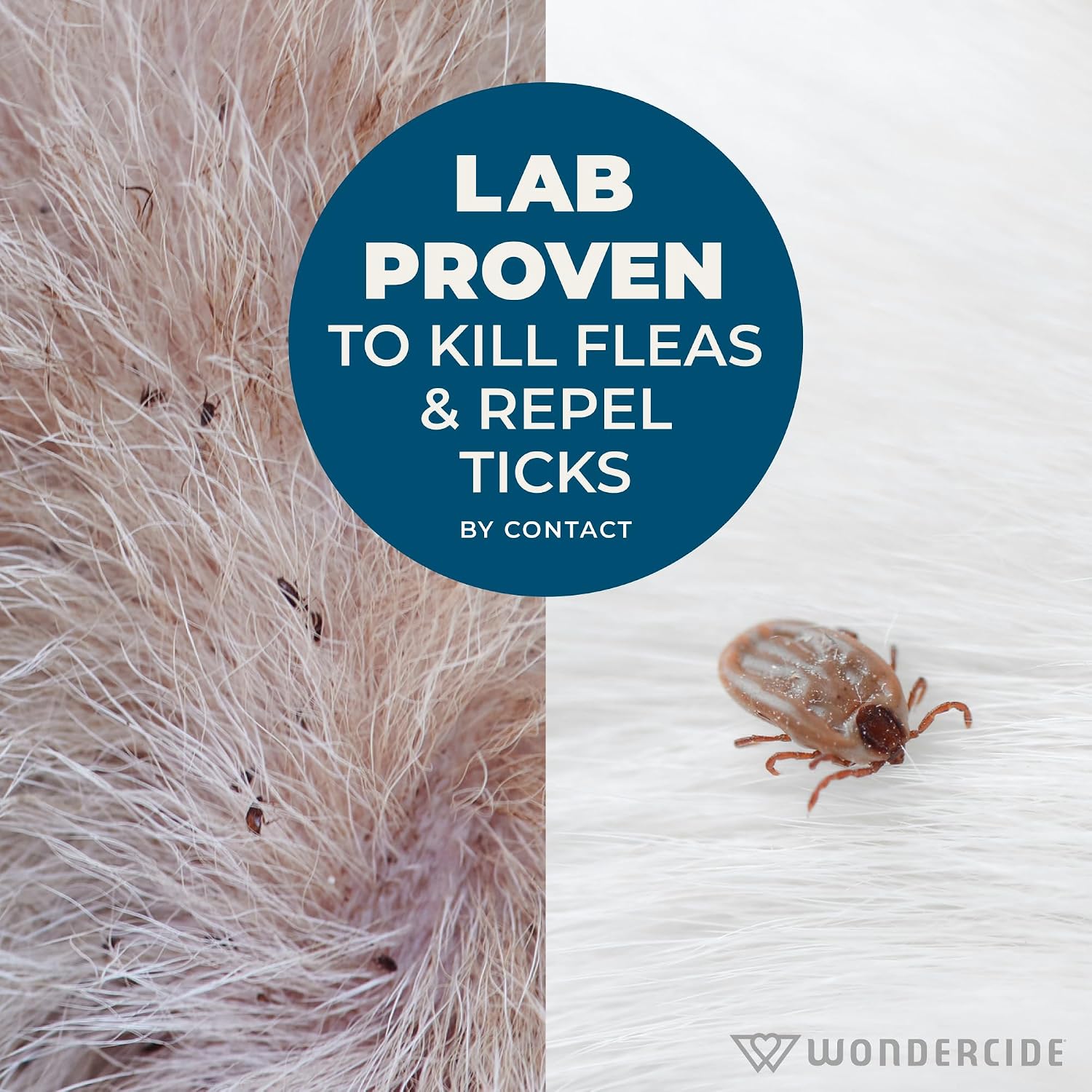 Flea Tick Shampoo for Dogs and Cats - Image 4