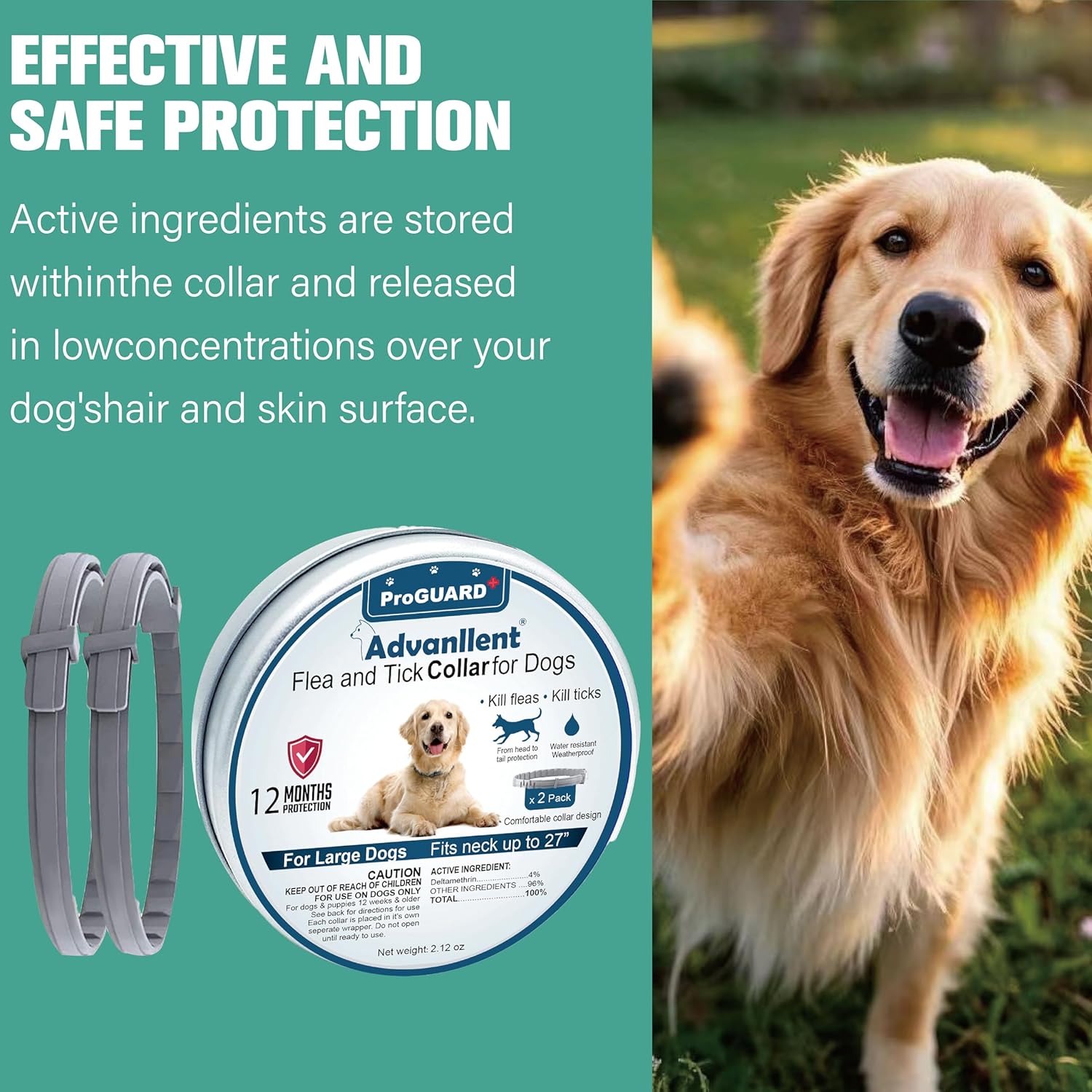 Flea and Tick Prevention for Dogs - Image 3
