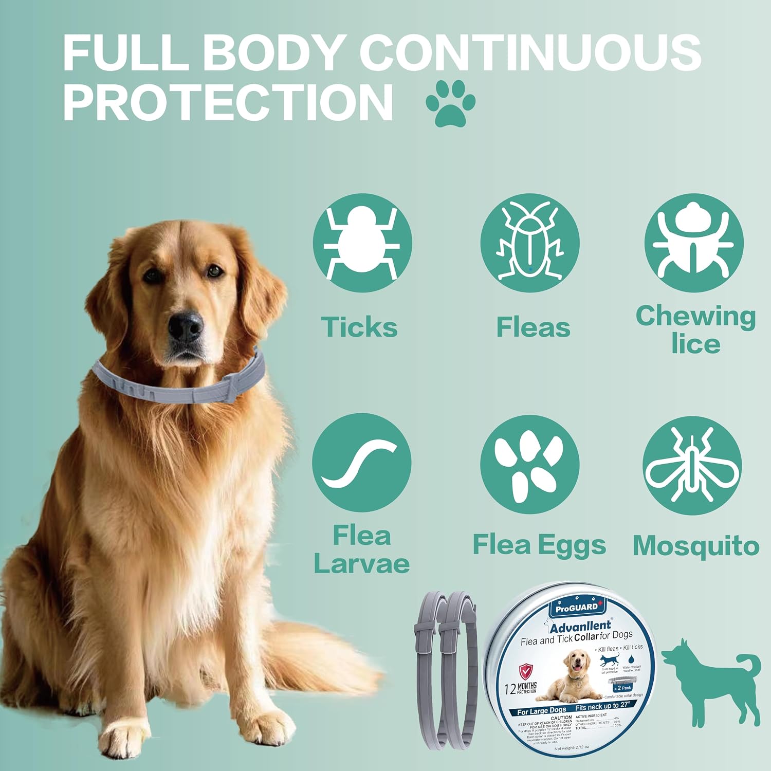Flea and Tick Prevention for Dogs - Image 4
