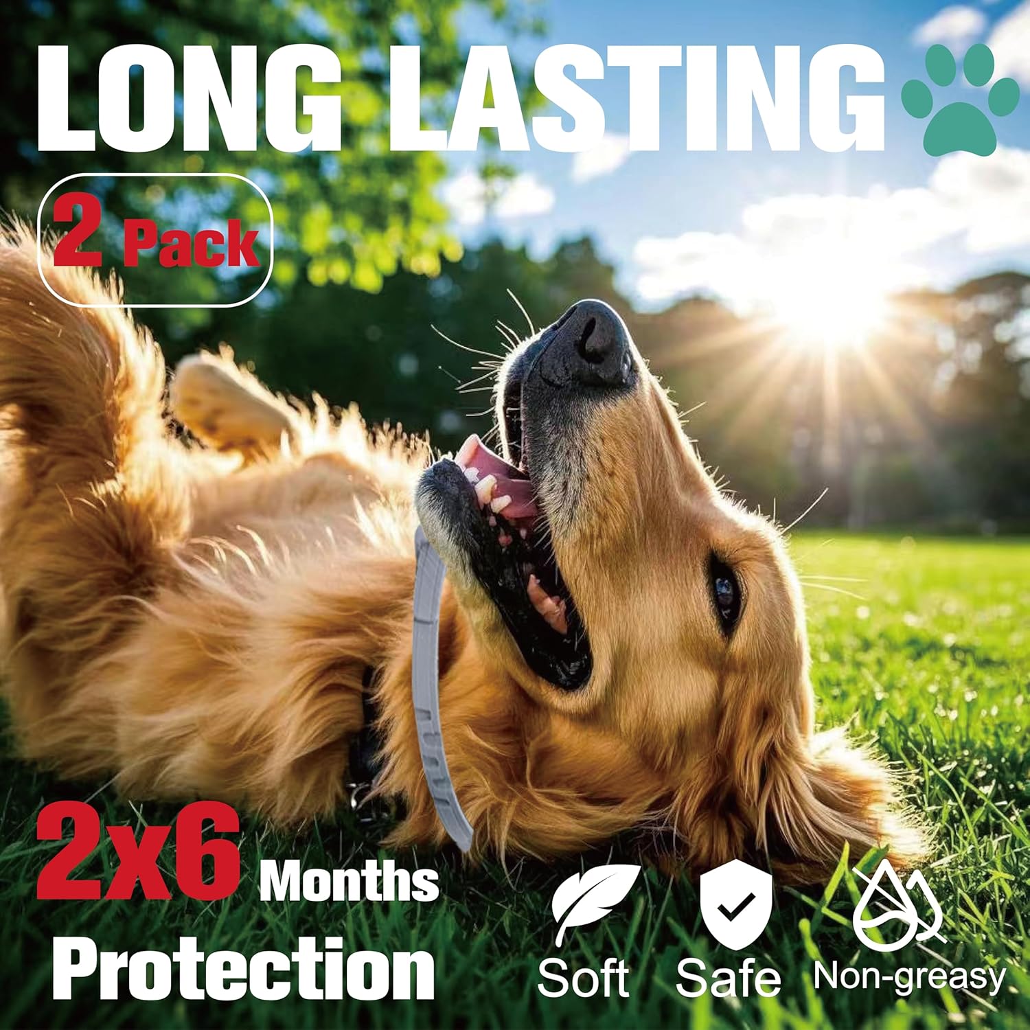 Flea and Tick Prevention for Dogs - Image 5