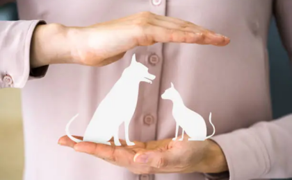Trupanion Pet Insurance for Dogs
