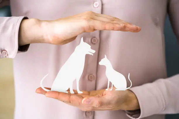Trupanion Pet Insurance for Dogs