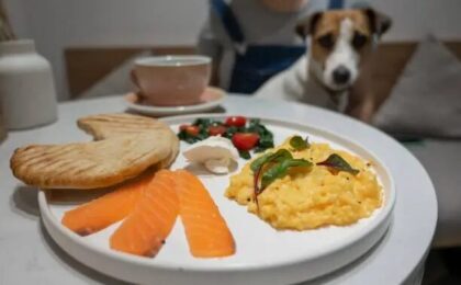 Can Dogs Eat Scrambled Eggs?