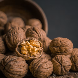 Can Dogs Eat Walnuts?